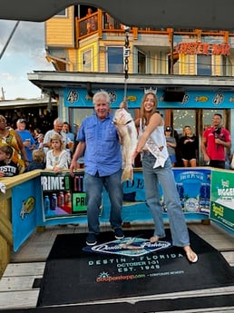 Cod Fishing in Destin, Florida