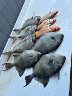 Fishing in Port Orange, Florida