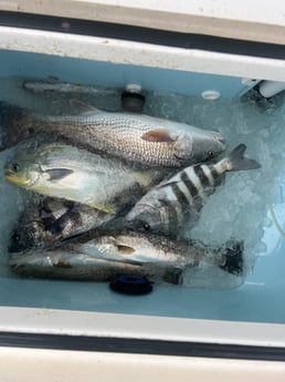 Fishing in Seminole, Florida