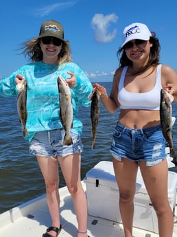 Speckled Trout / Spotted Seatrout fishing in New Orleans, Louisiana