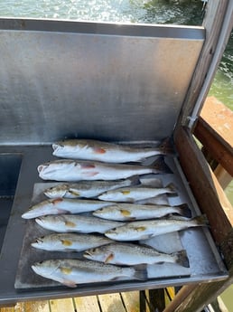 Fishing in South Padre Island, Texas