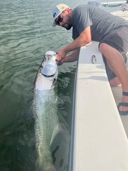 Tarpon Fishing in Miami Beach, Florida