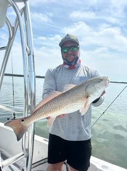 Fishing in Seminole, Florida