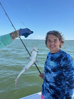 Fishing in Sarasota, Florida