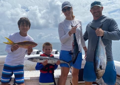 Little Tunny / False Albacore, Yellowtail Snapper fishing in Riviera Beach, Florida