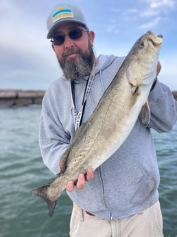 Speckled Trout Fishing in Port O&#039;Connor, Texas