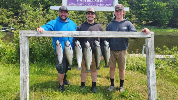 Brown Trout Fishing in Verona Beach, New York