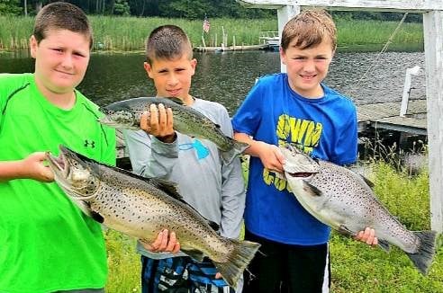 Brown Trout Fishing in Verona Beach, New York