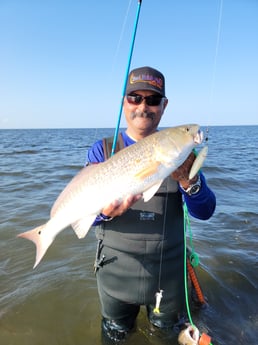 Redfish Fishing in Rio Hondo, Texas