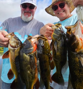Peacock Bass Fishing in Fort Lauderdale, Florida
