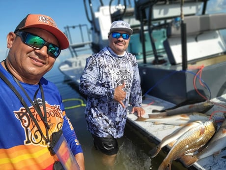 Redfish, Speckled Trout / Spotted Seatrout Fishing in Rio Hondo, Texas