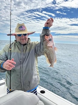 Fishing in Sarasota, Florida