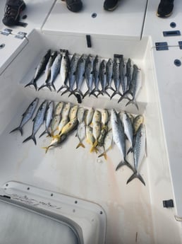 Fishing in Pensacola, Florida