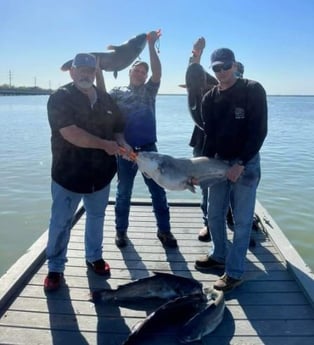Blue Catfish Fishing in Dallas, Texas