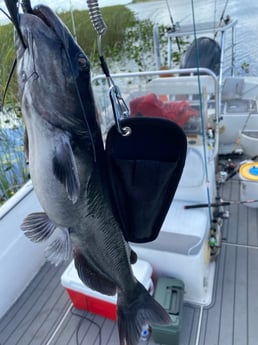 Fishing in Pembroke Pines, Florida