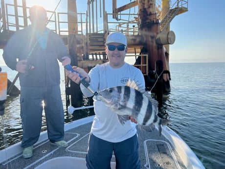 Sheepshead Fishing in Buras, Louisiana