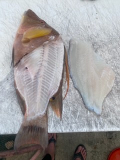 Fishing in Key West, Florida