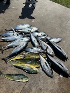 Fishing in Fort Pierce, Florida