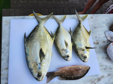 Fishing in Fort Myers Beach, Florida