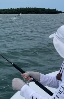 Tarpon Fishing in Summerland Key, Florida