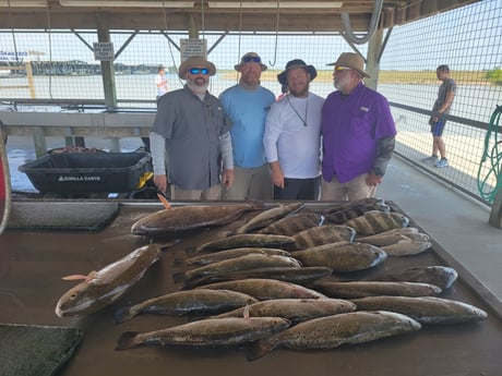 Black Drum, Redfish, Speckled Trout Fishing in Matagorda, Texas