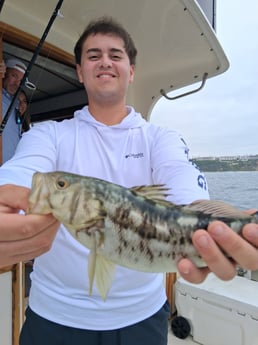 Fishing in Dana Point, California