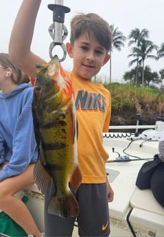 Fishing in Delray Beach, Florida