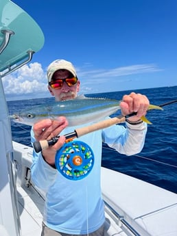 Yellowtail Amberjack Fishing in Jupiter, Florida
