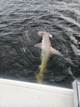 Fishing in Pensacola, Florida