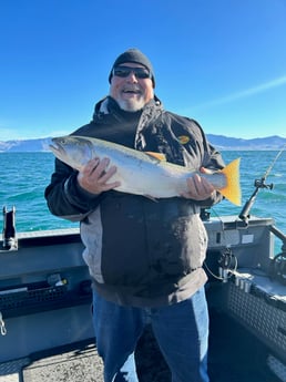 Fishing in Reno, Nevada