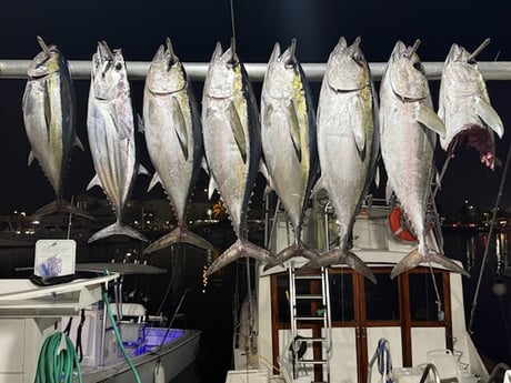 Fishing in Key West, Florida
