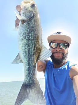 Fishing in Alba, Texas