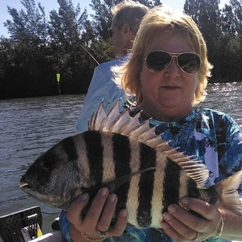 Sheepshead Fishing in Melbourne, Florida