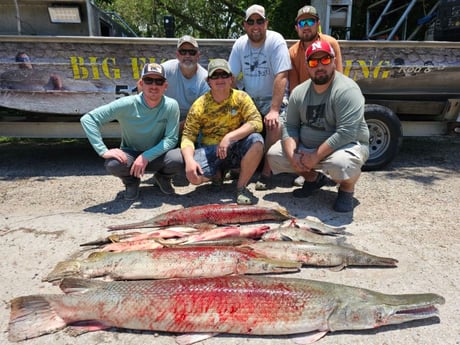 Alligator Gar Fishing in Livingston, Texas
