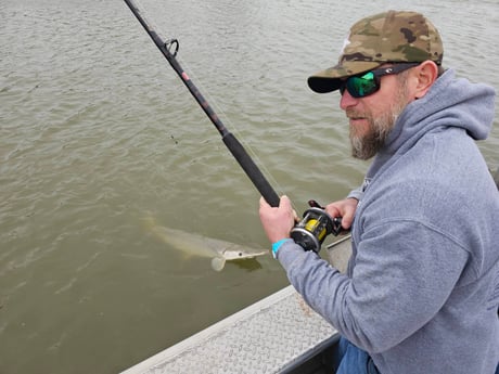 Alligator Gar Fishing in Livingston, Texas