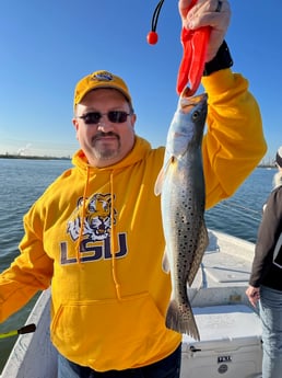 Speckled Trout / Spotted Seatrout fishing in Galveston, Texas