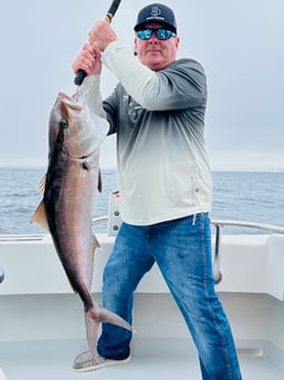 Fishing in Navarre, Florida