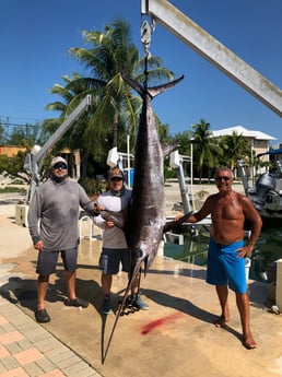 Fishing in Islamorada, Florida