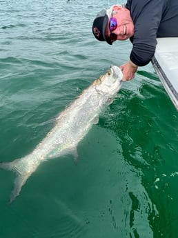 Tarpon Fishing in Miami Beach, Florida