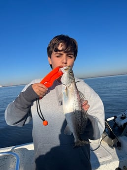 Speckled Trout / Spotted Seatrout fishing in Galveston, Texas