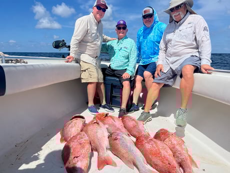 Fishing in League City, Texas