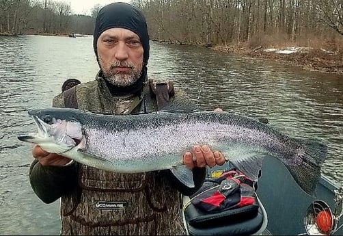 Steelhead Fishing in Verona Beach, New York