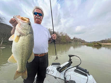 Largemouth Bass fishing in Buda, Texas
