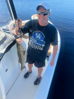 Hybrid Striped Bass Fishing in Little River, South Carolina