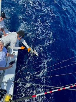 Fishing in Fort Lauderdale, Florida
