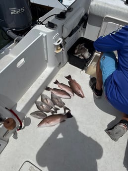 Fishing in Belleair Bluffs, Florida