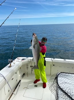 Striped Bass fishing in Montauk, New York