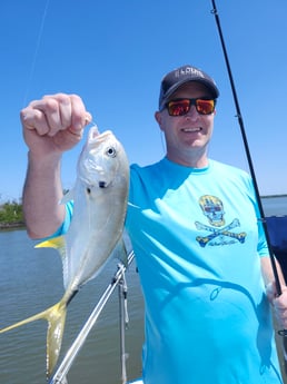 Jack Crevalle Fishing in