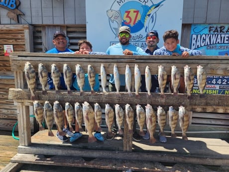 Fishing in Corpus Christi, Texas