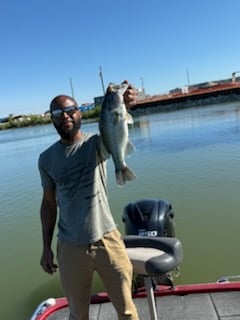 Fishing in Alba, Texas